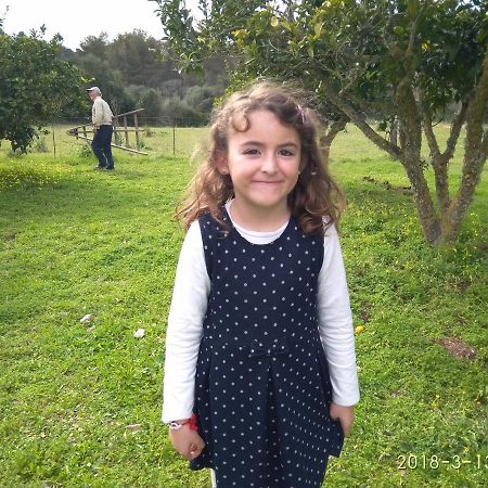 Agroturismo Sa Vall Son Macia  Exterior foto